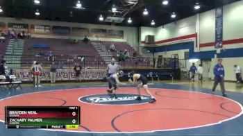 120 lbs Round 3 - Brayden Neal, Hoover vs Zachary Palmer, Auburn