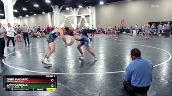 215 lbs Round 5 (6 Team) - Gavin Gentille, Team STL Blue vs Chris Machavic, Ohio Titan Red