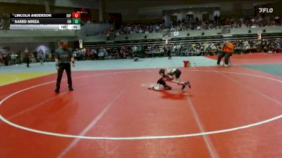 50 lbs Semifinal - Lincoln Anderson, DGF vs Saeed Mirza, Edina