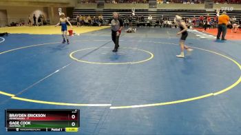 105 lbs Quarterfinals (8 Team) - Brayden Erickson, Minnewaska vs Gage Cook, Hastings
