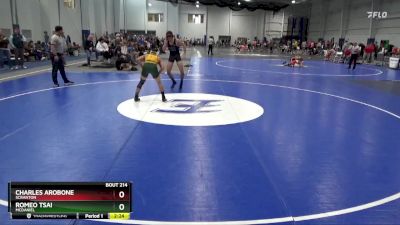 133 lbs Cons. Round 3 - Charles Arobone, Scranton vs Romeo Tsai, McDaniel