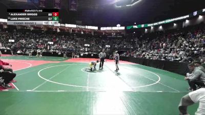 120 lbs Champ. Round 2 - Luke Frische, CLY2 vs Alexander Briggs, MIRA