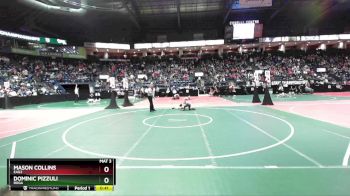 75 lbs Cons. Round 2 - Mason Collins, EAG2 vs Dominic Pizzuli, ROGA