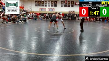 165 lbs Quarterfinal - Gabriel Saliani, Whippany Park vs Nick Drake, Mountain Lakes