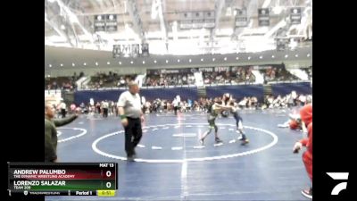 60 lbs Cons. Round 3 - Andrew Palumbo, The Dynamic Wrestling Academy vs Lorenzo Salazar, Team 209