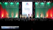 Tri-Cities Edge - Fly Girls [2026 L1 Youth - D2 - Small Day 1] 2026 The West Regional Summit