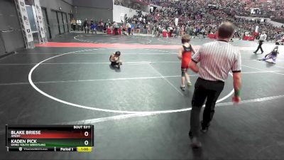 75 lbs Cons. Round 2 - Blake Briese, Amery vs Kaden Pick, Omro Youth Wrestling