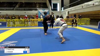 ALEX MARTINS vs JOSH HINGER 2018 Los Angeles BJJ Pro IBJJF Championship