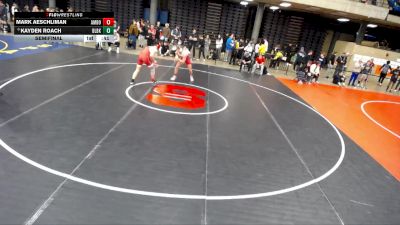 165 lbs Semifinal - Kayden Roach, Bourbonnais vs Mark Aeschliman, Metamora Township