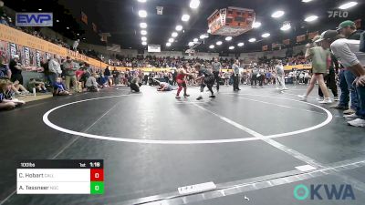 100 lbs Quarterfinal - Connor Hobart, Carl Albert vs Alexander Tessneer, Norman Grappling Club