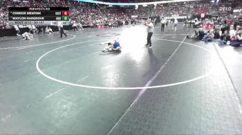 D3-157 lbs Cons. Semi - Waylon Hargrove, Aquinas vs Connor Mentink, Oostburg