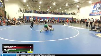 132 lbs Quarterfinal - Fabian Avalos`, American Falls vs Kaleb Hammer, Lakeland