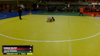70 lbs Quarterfinals (8 Team) - Piston Georges, BHVPP vs Gunnar Nelson, Watertown-Mayer