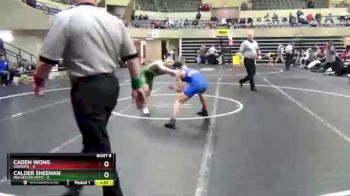 138 lbs Semis & 1st Wrestleback (8 Team) - Caden Wong, Wayzata vs Calder Sheehan, Rochester Mayo