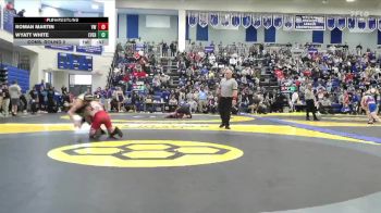 138 lbs Cons. Round 2 - Wyatt White, Evergreen vs Roman Martin, Van Wert