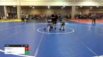 49 lbs Semifinal - Mateo Pena, South Carolina vs Landon Walker, Georgia