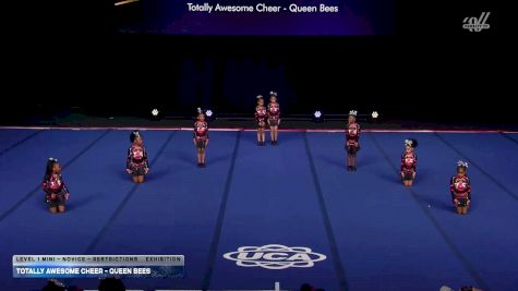 Totally Awesome Cheer - Queen Bees [2026 L1 Mini - Novice - Restrictions Exhibition] 2026 UCA & UDA All Star Nationals