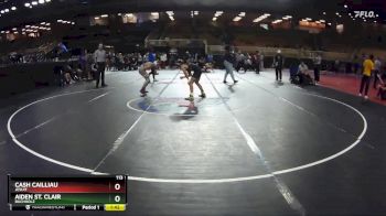 113 lbs Champ. Round 1 - Aiden St. Clair, Buchholz vs Cash Cailliau, Jesuit