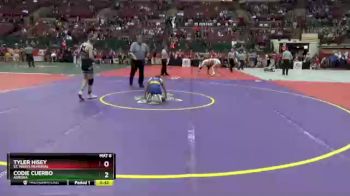 D2-113 lbs Cons. Semi - Codie Cuerbo, Aurora vs Tyler Hisey, St. Marys Memorial