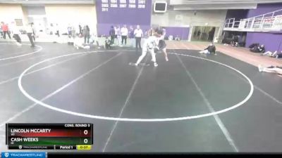 220 lbs Cons. Round 3 - Cash Weeks, ID vs Lincoln McCarty, WI