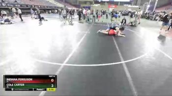 220 lbs Cons. Round 3 - Indiana Ferguson, IA vs Cole Carter, AL