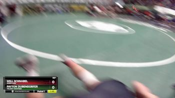 157 lbs Quarterfinal - Will Schnabel, Avon Lake vs Payton Dubendorfer, Toledo Whitmer