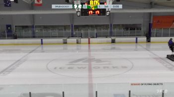 Replay: Home - 2025 Dukes vs New York | Mar 9 @ 1 PM