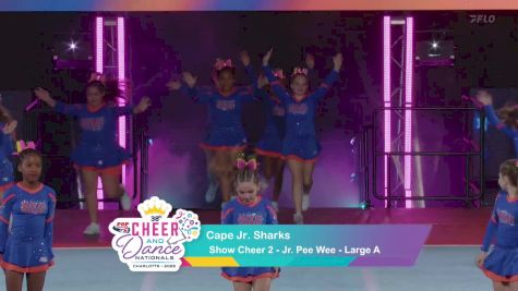 Show Cheer 2 - Cape Jr. Sharks [2025 Jr. Pee Wee Day 1] 2025 Pop Warner National Cheer & Dance Championship