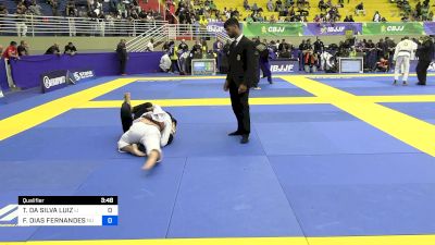 TIAGO DA SILVA LUIZ vs FILIPE DIAS FERNANDES 2024 Brasileiro Jiu-Jitsu IBJJF