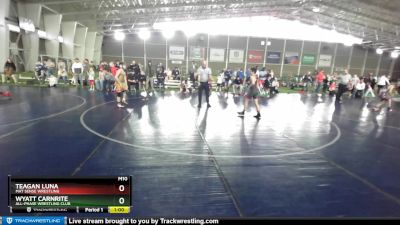 87 lbs Quarterfinal - Teagan Luna, Mat Sense Wrestling vs Wyatt Carnrite, All-Phase Wrestling Club