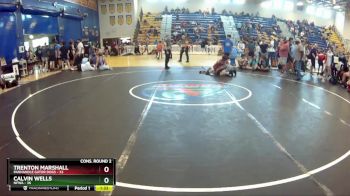 113 lbs Semis & Wb (16 Team) - CALVIN WELLS, NFWA vs Trenton Marshall, Panhandle Gator Dogs