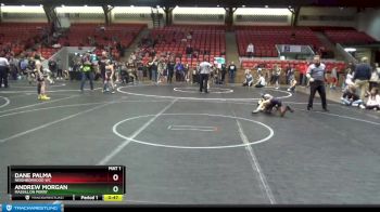 56 lbs Cons. Round 2 - Andrew Morgan, Massillon Perry vs Dane Palma, Neighborhood WC