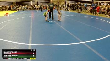 60 lbs Cons. Round 2 - Carter Trout, Hutchinson vs Anderson Birk, Chisago City