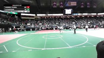 126 lbs Cons. Round 5 - Dominic Fickell, CPWA vs Aj Gleckler, EVE3