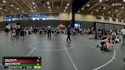 88 lbs Round 4 (8 Team) - Reese Babcock, POWA vs Cole Palma, Ohio Gold