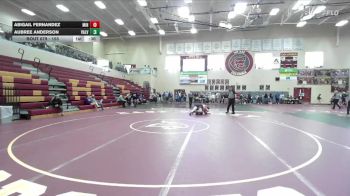 155 lbs Cons. Round 5 - Abigail Fernandez, Minico vs Aubree Anderson, Vallivue
