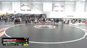 75 lbs Quarterfinal - Anthony Scolaro, Gorilla Grapplers vs Benjamin Marino, Club Not Listed