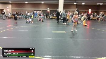 70 lbs Quarterfinal - Gage Yates, Contenders vs Marshall Cisar, Ares