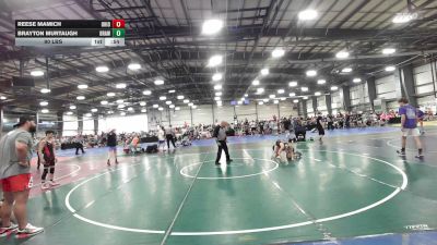 90 lbs Rr Rnd 1 - Reese Mamich, Ohio United - MS vs Brayton Murtaugh, Brawler Elite - MS