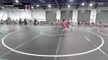 120 lbs Quarterfinal - Dane Konno, Juggernaut WC vs Domenico Novosel, The 300