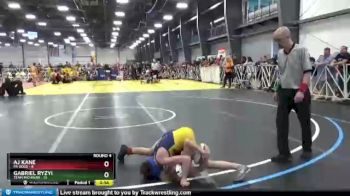 72 lbs Round 4 - AJ Kane, PA Gold vs Gabriel Ryzyi, Team Michigan