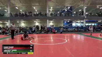 100 lbs Round 3 (4 Team) - Cash Tharp, Brecksville vs Lincoln *James, Perrysburg