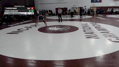 133 lbs Cons. Round 2 - James Lovelady, Upper Iowa vs Carter West, Central