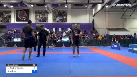 Luan Andrei Barros vs Andrew Wiltse 2019 Pan IBJJF Jiu-Jitsu No-Gi Championship