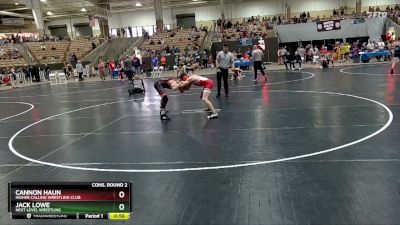 115 lbs Cons. Round 2 - CANNON HAUN, Higher Calling Wrestling Club vs Jack Lowe, Next Level Wrestling