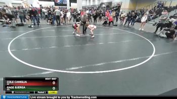 92 lbs Cons. Round 7 - Cole Caniglia, NE vs Gage Bjerga, MN