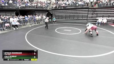 190 lbs Cons. Round 1 - Atticus Rodriguez, Lone Peak vs Cole Murray, Farmington