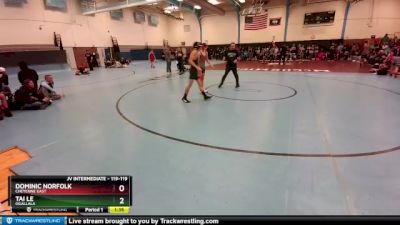 119-119 lbs Round 4 - Dominic Norfolk, Cheyenne East vs Tai Le, Ogallala