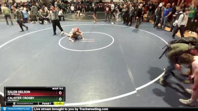 120 lbs Cons. Round 3 - Calister Crosby, University vs Kaleb Nelson, Mt. Spokane