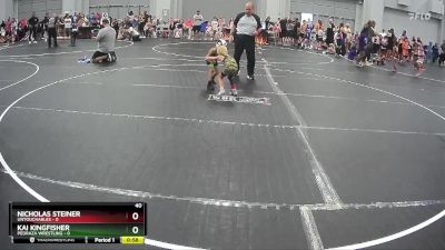 40 lbs Round 4 (8 Team) - Kai Kingfisher, Pedraza Wrestling vs Nicholas Steiner, Untouchables